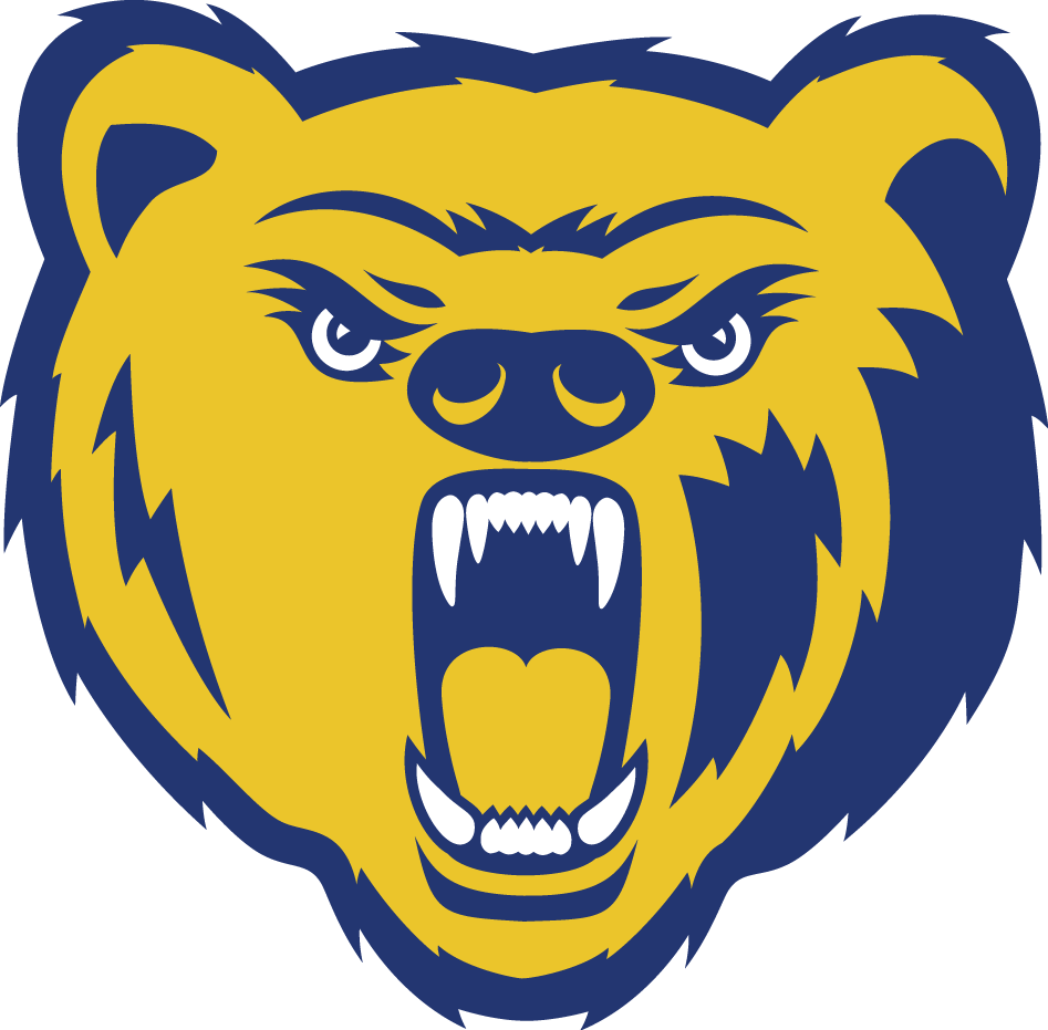 Northern Colorado Bears 2004-2009 Secondary Logo diy fabric transfer